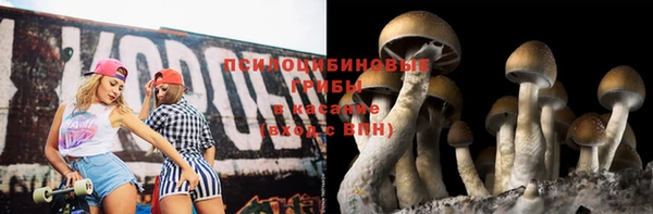 соль курить ск Алзамай