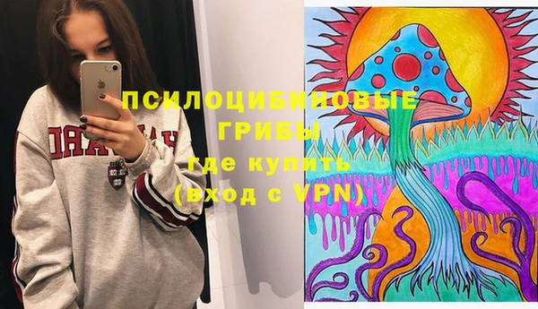 соль курить ск Алзамай